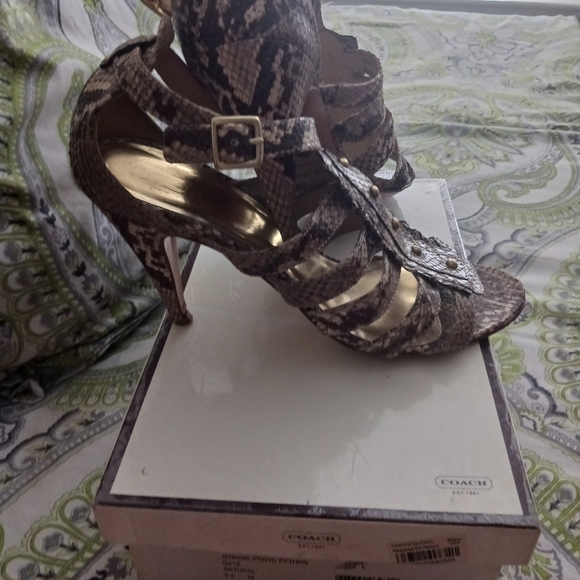 Shoes - Picture 1 of 5